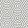 encaustic cement tile hexagon cts h4061