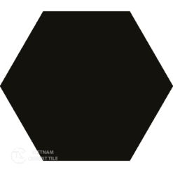Encaustic cement tile Hexagon CTS 400.2