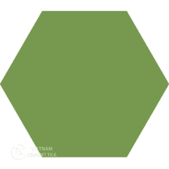 Encaustic cement tile Hexagon CTS 400.5