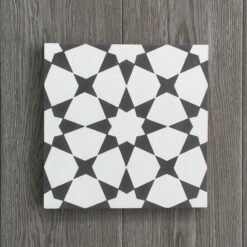 Gạch bông CTS 141.1 (Cement tile CTS 141.1)