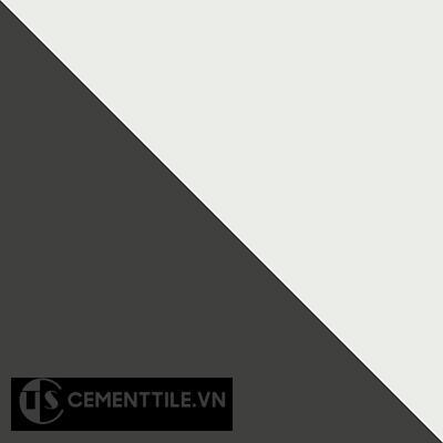 Gạch bông cổ điển CTS 101.1 ( Encaustic cement tile 101.1 )