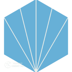 Encaustic cement tile hexagon CTS H402.2(4-16)