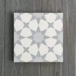 Gạch bông CTS 141.3(9-27-50) - Encaustic cement tile CTS 141.3(9-27-50)