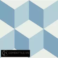 Encaustic cement tile CTS 8.10(2-4-16)