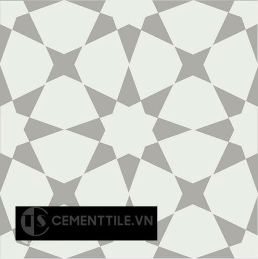 Gạch bông CTS 141.4(4-9) - Encaustic cement tile CTS 141.4(4-9)