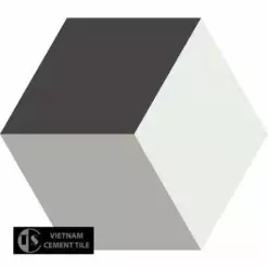 Encaustic cement tile hexagon CTS H401.1