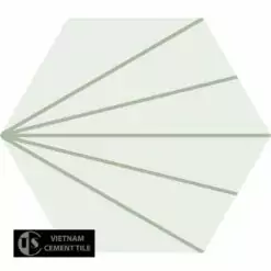 Encaustic cement tile hexagon CTS H402.12(4-7)