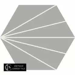 Encaustic cement tile hexagon CTS H402.5(4-9)