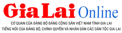 logo bao gia lai UMmtTq.png