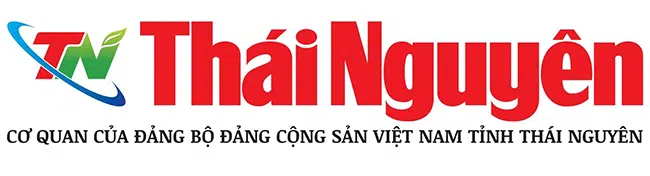 logo bao thai nguyen OA9waH.png