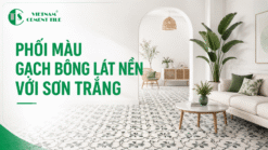 Phối màu gạch bông lát nền với sơn trắng