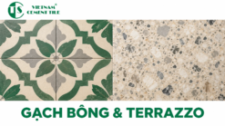 So sánh gạch bông và gạch terrazzo